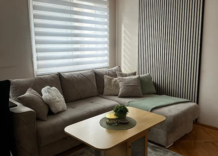 U Centru Niša Apartament Ni