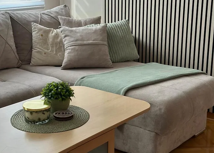 Apartament U Centru Niša *